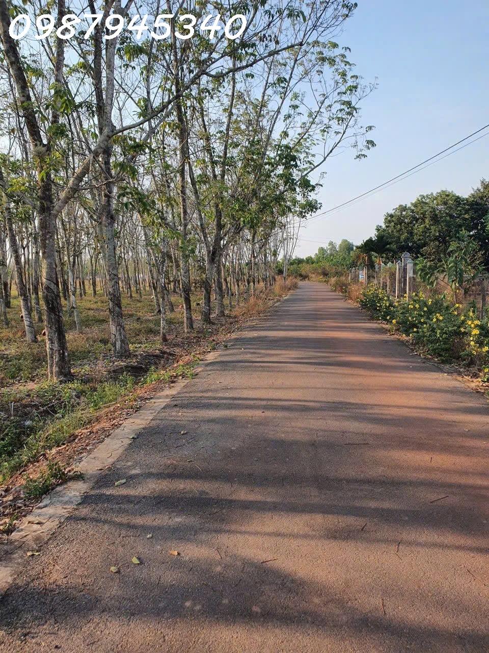 Bán đất đường Lò Rèn, Long Hòa, 4,5tr/m2, 3100m2 view đẹp Hot! 16021465