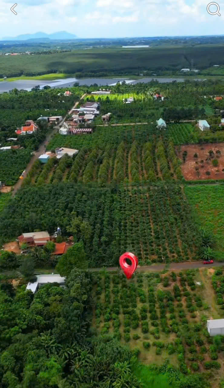 ĐẤT ĐẸP – GIÁ ĐẦU TƯ  – CẦN BÁN Tại Bình Giã, Châu Đức, Bà Rịa Vũng Tàu 16021512