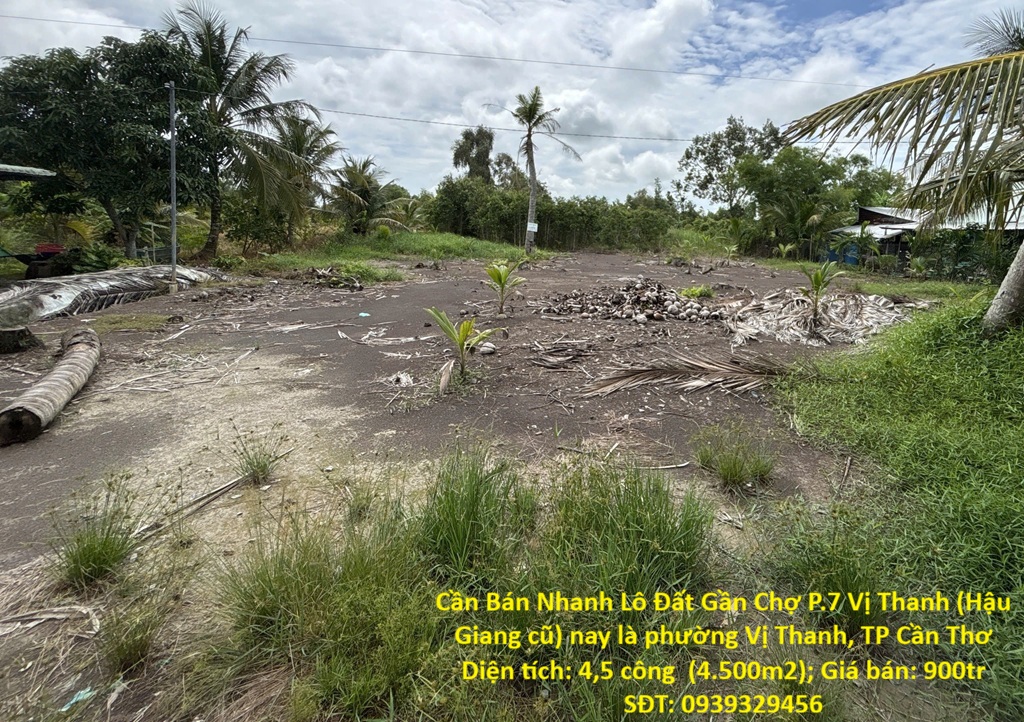 Cần Bán Nhanh Lô Đất Gần Chợ P.7 Vị Thanh (Hậu Giang cũ) nay là phường Vị Thanh, TP Cần Thơ 16021721