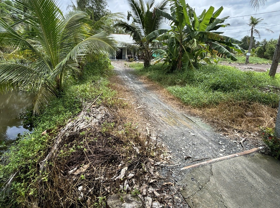 Cần Bán Nhanh Lô Đất Gần Chợ P.7 Vị Thanh (Hậu Giang cũ) nay là phường Vị Thanh, TP Cần Thơ 16021721