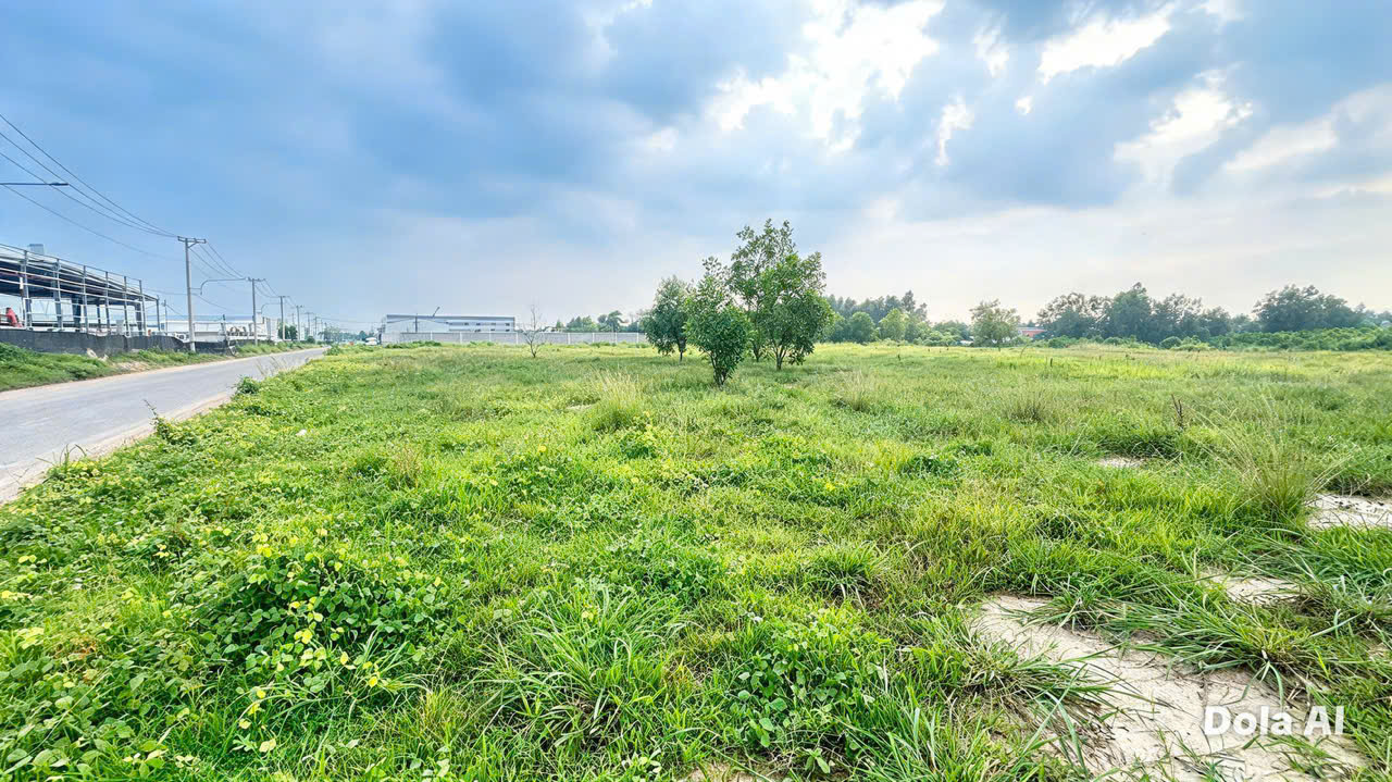 D338 chuyển nhượng quỹ đất SX KCN, DT phù hợp CTY FDI mở rộng, xây dựng mới 16021766
