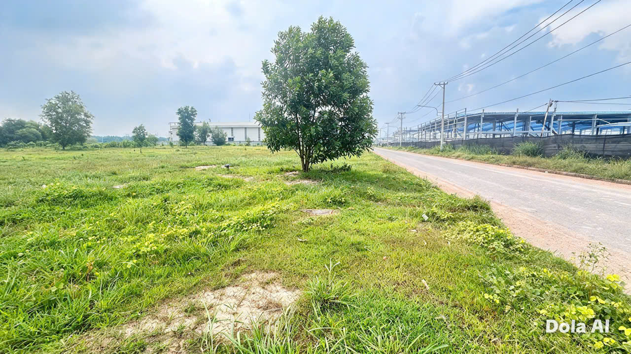 D338 chuyển nhượng quỹ đất SX KCN, DT phù hợp CTY FDI mở rộng, xây dựng mới 16021766