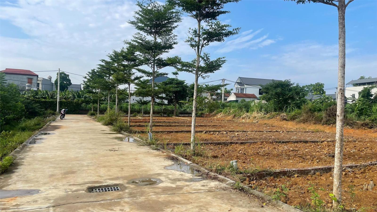 Bán đất làn 2 Phú Cát (Hòa Thạch) 100m2 full thổ, gần đường DH09 giá 2,3 tỷ. 16021854