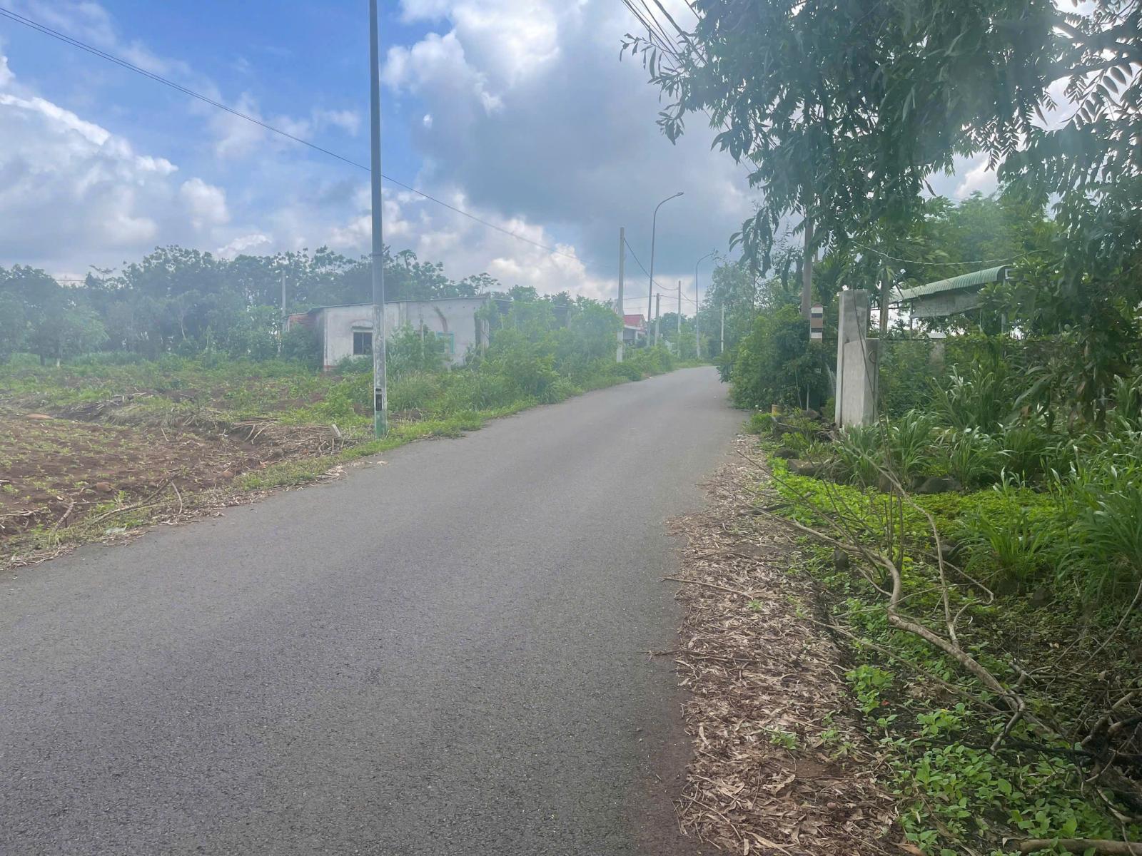 CHÍNH CHỦ BÁN ĐẤT 156M² ĐÁ BẠC – ĐƯỜNG NHỰA 6M – GẦN KCN CHÂU ĐỨC, TỈNH BÀ RỊA - VŨNG TÀU 16021943
