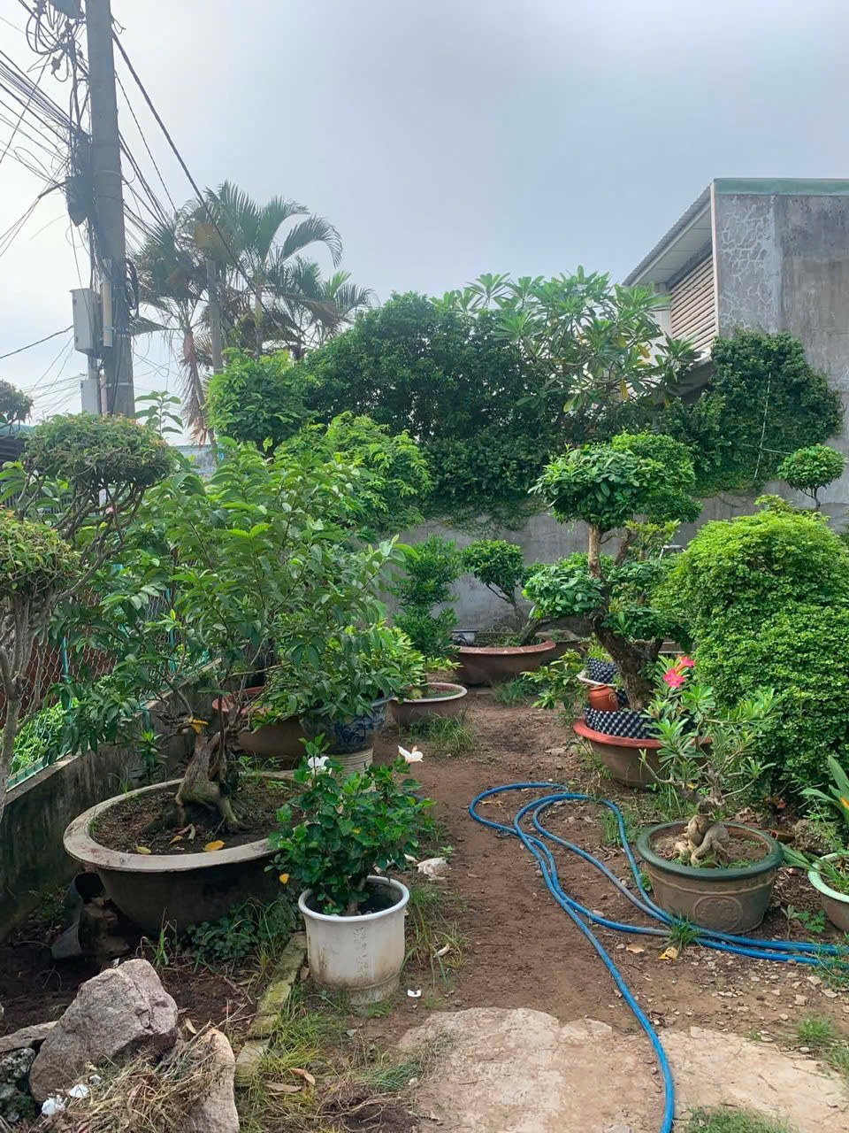 NHANH TAY SỞ HỮU NGAY CĂN NHÀ VƯỜN CHÍNH CHỦ Hẻm Xe Hơi Tại Xã Hưng Long, Bình Chánh, TP HCM 16021965