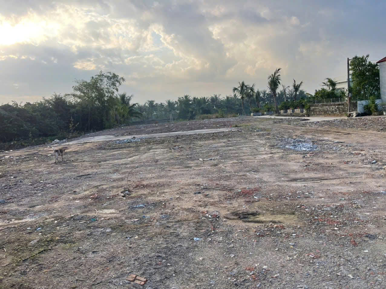 CHÍNH CHỦ CHO THUÊ MẶT BẰNG 2000M2, THỬA ĐẤT SIÊU VIP, MẶT ĐƯỜNG 354 Địa chỉ: thôn Phương Hạ, Xã An 16022038