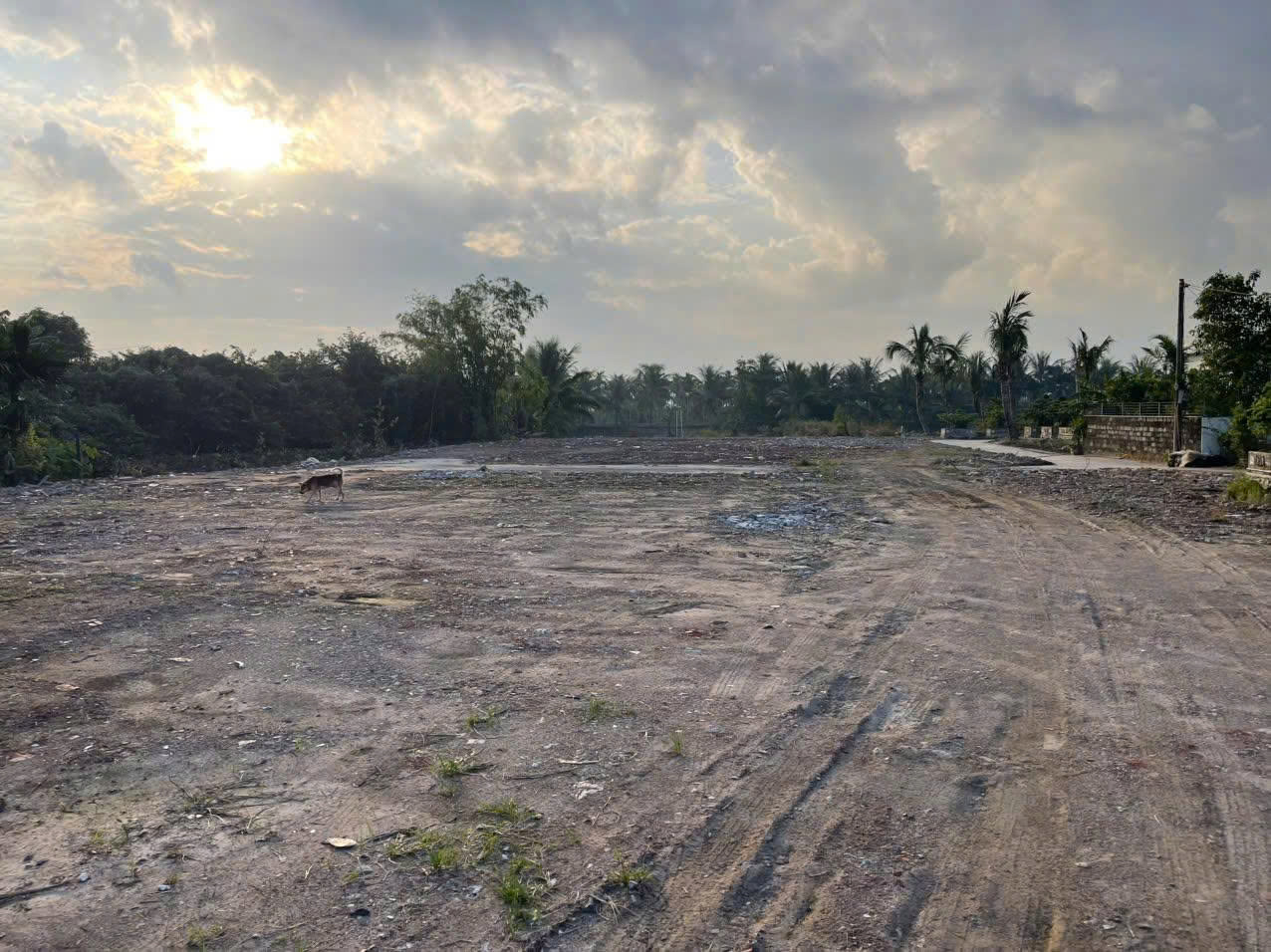 CHÍNH CHỦ CHO THUÊ MẶT BẰNG 2000M2, THỬA ĐẤT SIÊU VIP, MẶT ĐƯỜNG 354 Địa chỉ: thôn Phương Hạ, Xã An 16022038