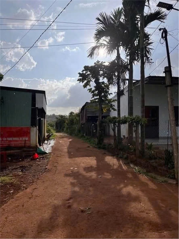ĐẦU TƯ SINH LỜI – CHÍNH CHỦ CẦN BÁN GẤP LÔ ĐẤT GIÁ RẺ TẠI Xã Pơng Drang, Krông Búk, Đắk Lắk 16022086