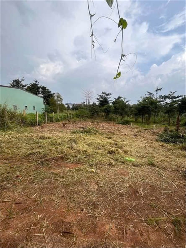 ĐẦU TƯ SINH LỜI – CHÍNH CHỦ CẦN BÁN GẤP LÔ ĐẤT GIÁ RẺ TẠI Xã Pơng Drang, Krông Búk, Đắk Lắk 16022086