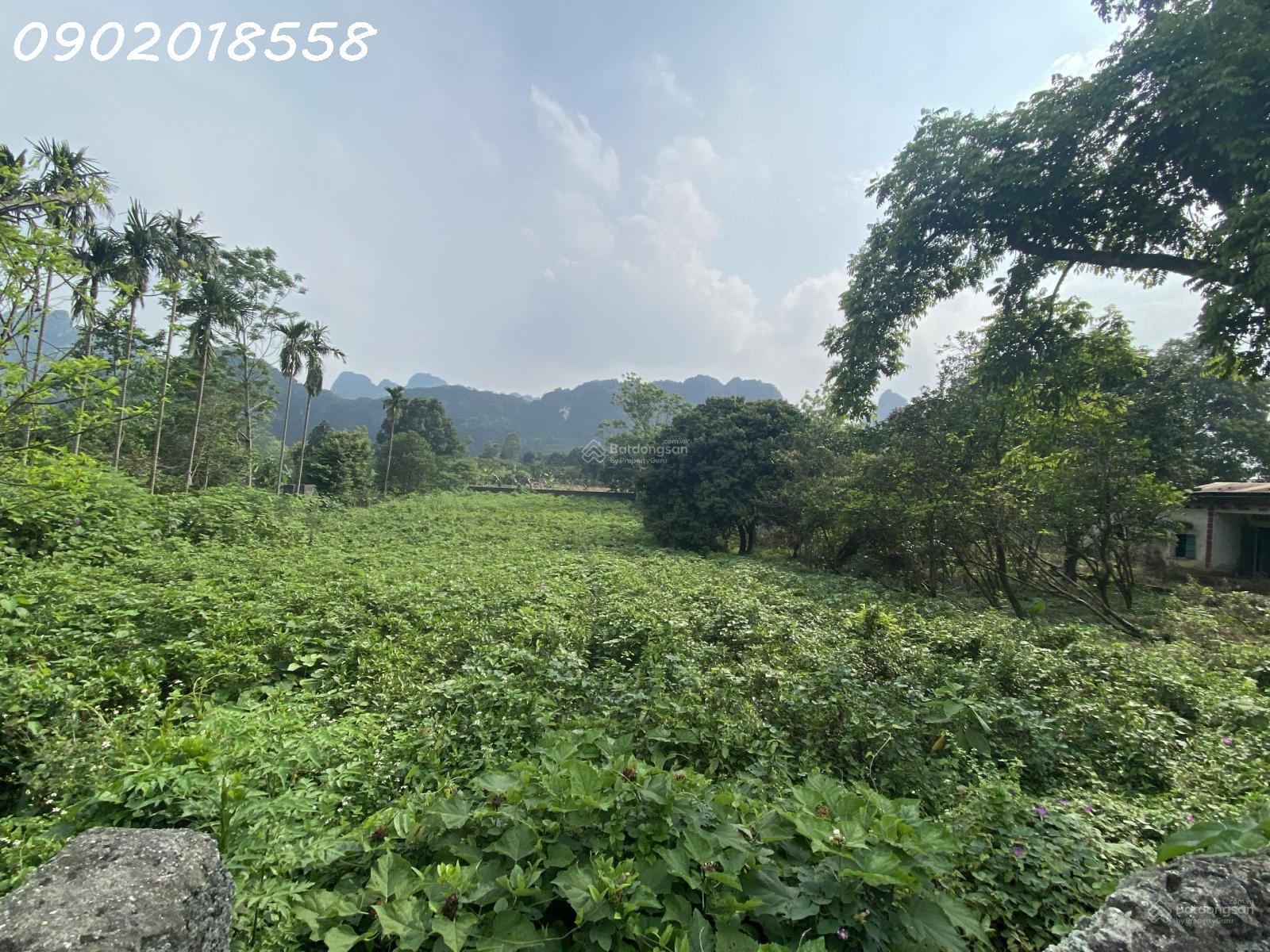 5.000m² ĐẤT 2 MẶT TIỀN – GẦN HÀ NỘI, TIỀM NĂNG KHAI THÁC ĐA DẠNG 16022129