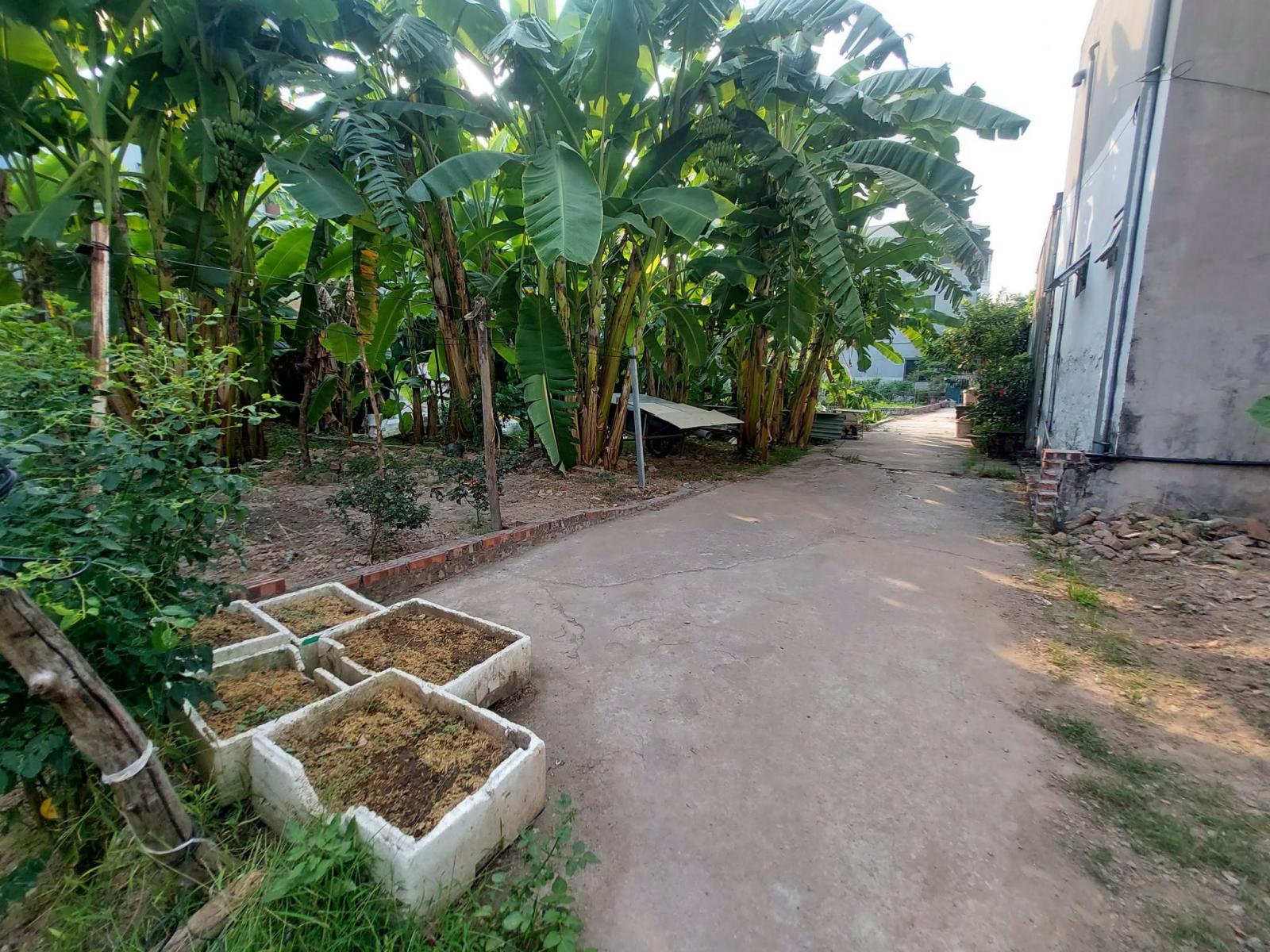 Tìm chủ mới, 52m2, mt4m, 3.x tỷ, Bắc Hồng, Đông Anh, gần ô tô. 16022340