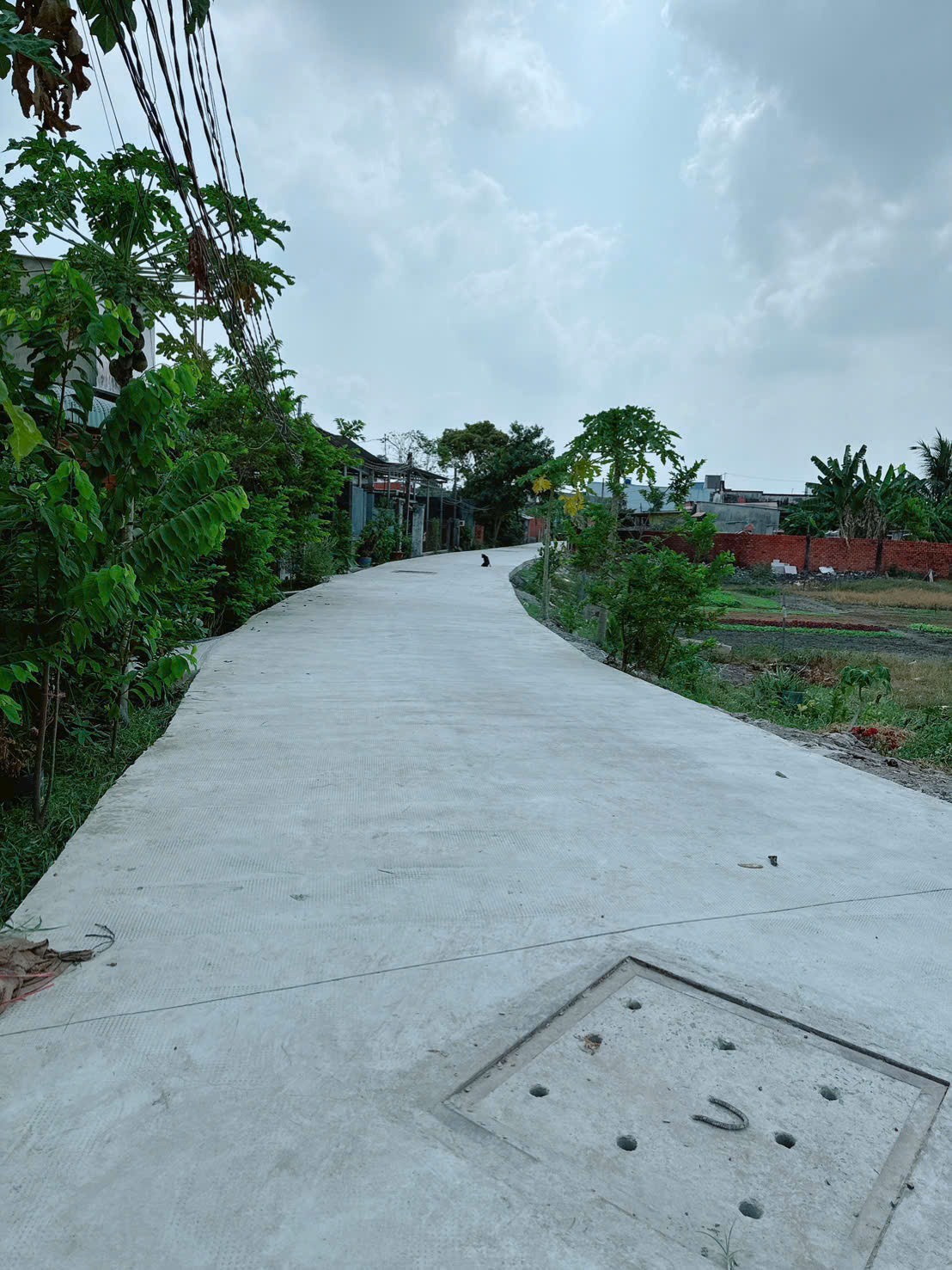 ĐẦU TƯ SINH LỜI - Cần Bán Nhà Hoặc Đất Vị trí Đẹp Trung Tâm Thị Trấn Đức Hòa,Huyện Đức Hòa, Long An. 16022437