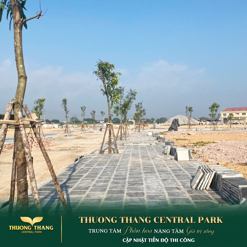 Thông tin dự án Thường Thắng Central Park – Khám phá quy hoạch tiện ích 16022499