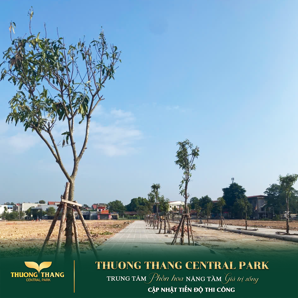 Thông tin dự án Thường Thắng Central Park – Khám phá quy hoạch tiện ích 16022499