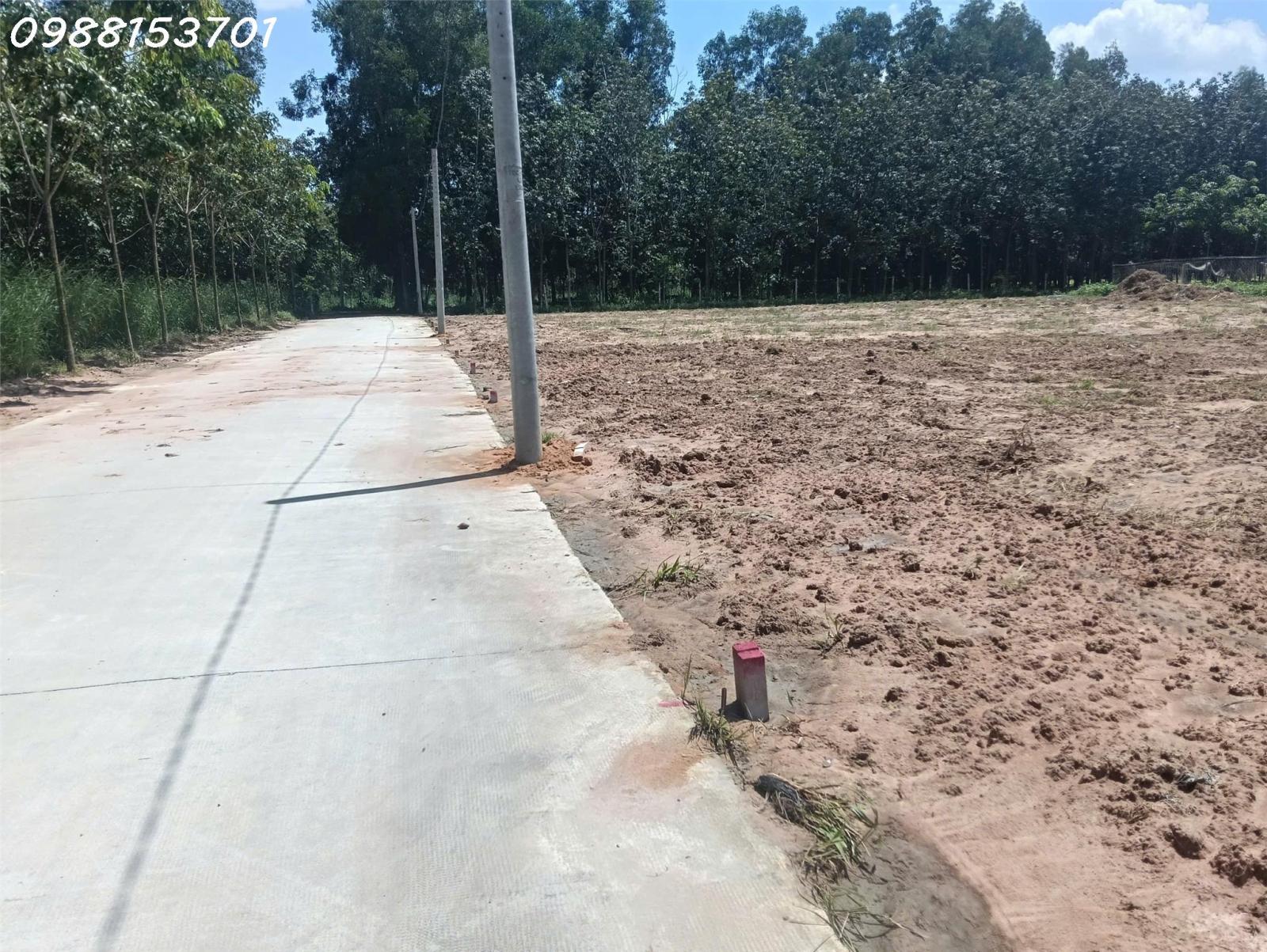 Bán đất tại đường Chánh Phú Hòa 045, phường Chánh Phú Hòa, DT 310m2, pháp lý đầy đủ 16022502