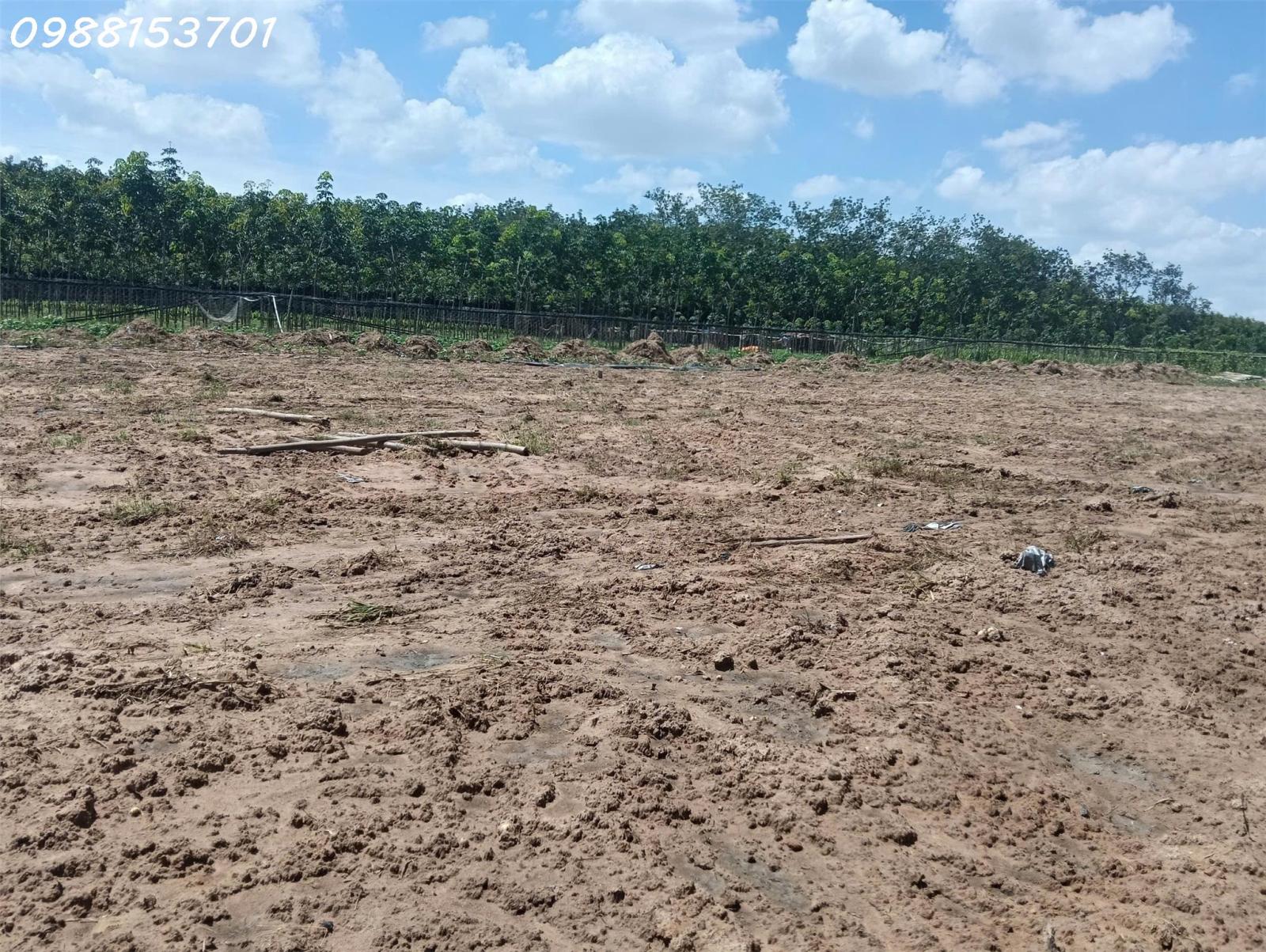 Bán đất tại đường Chánh Phú Hòa 045, phường Chánh Phú Hòa, DT 310m2, pháp lý đầy đủ 16022502