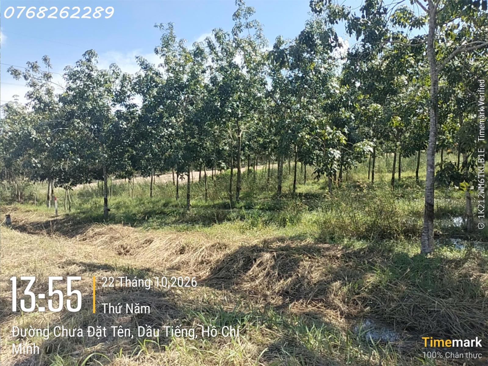 Bán gấp đất 1070m2 tại Ấp Yên Ngựa, ĐT 744, Định Thành, Dầu Tiếng, 7 tỷ VND 16022709