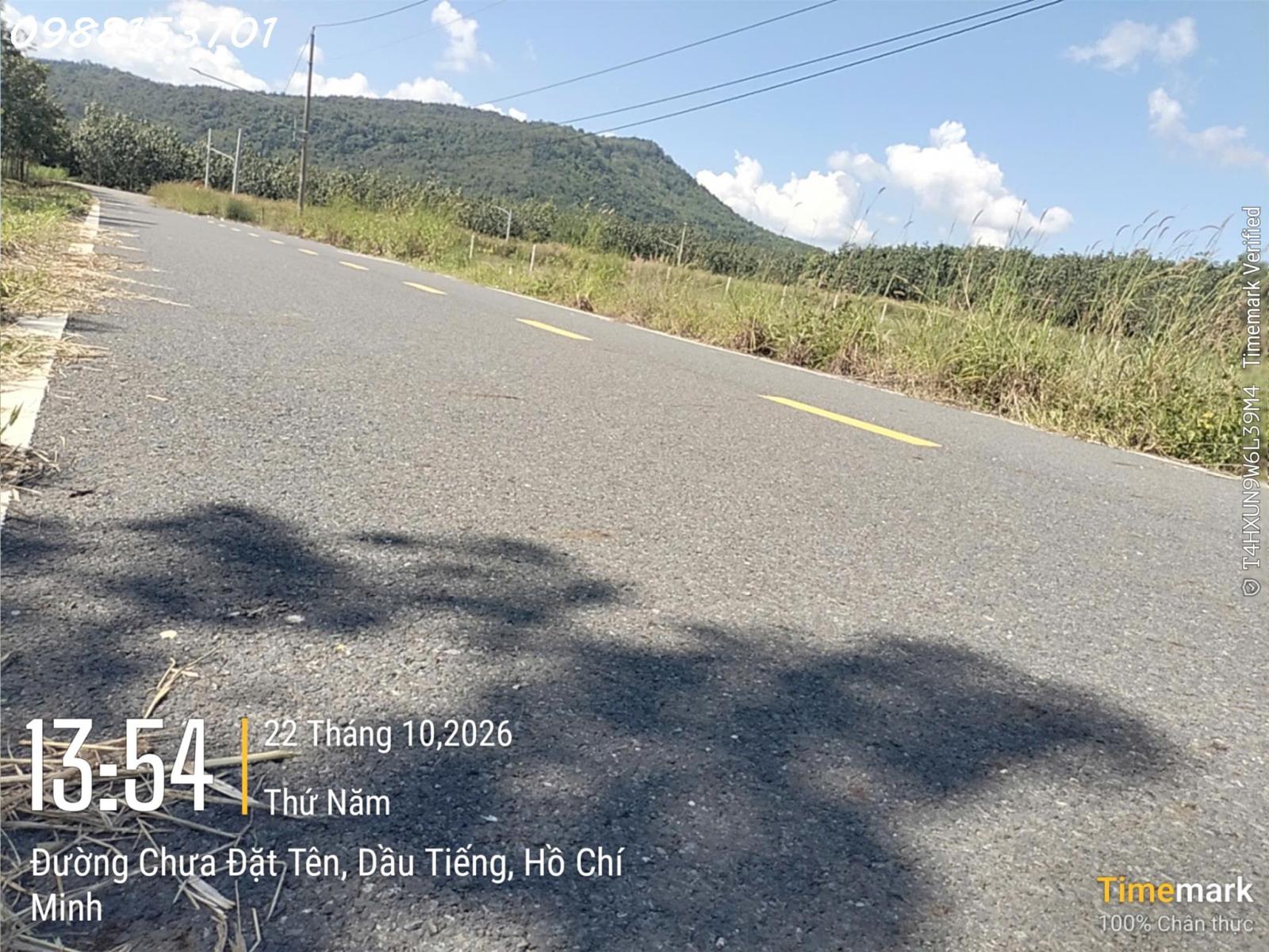 Bán đất đẹp tại Ấp Yên Ngựa, ĐT 744, Định Thành, Dầu Tiếng, 2,55 tỷ, DT 251m2 16022716