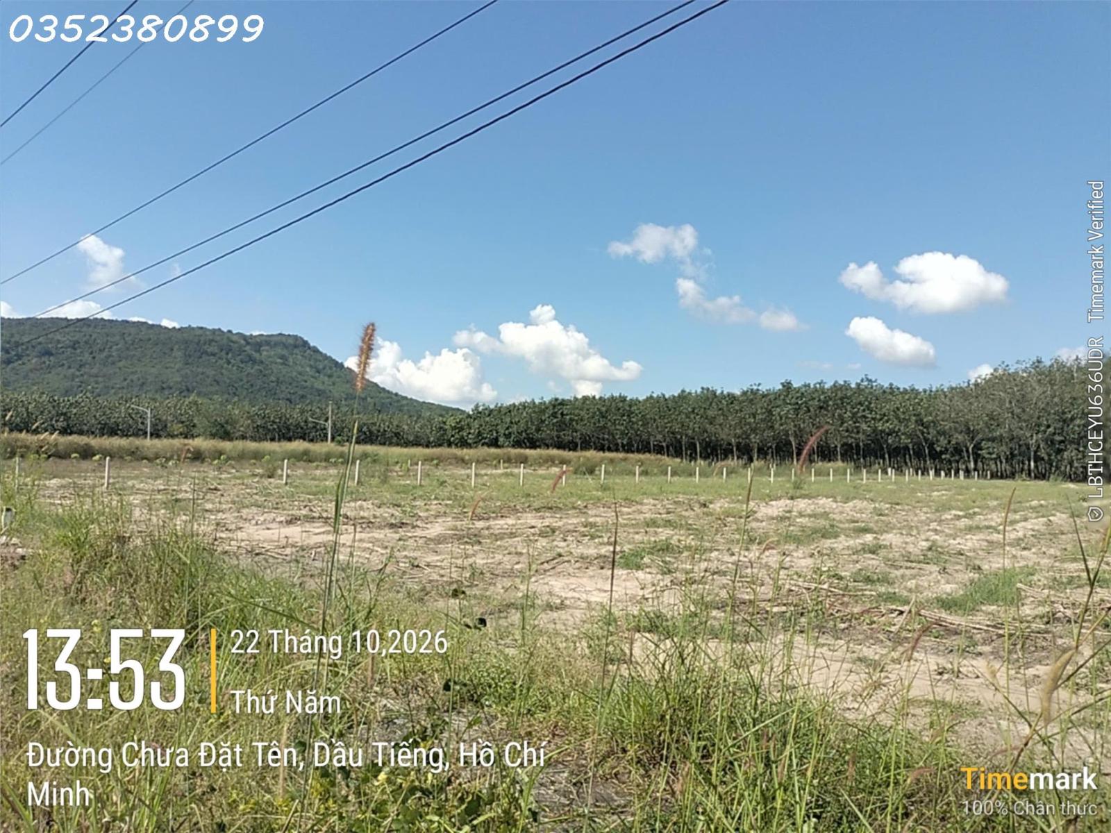 Hàng hiếm tại Ấp Núi Cậu, ĐT 744, Dầu Tiếng, DT 262 m2, giá 2,7 tỷ 16022718