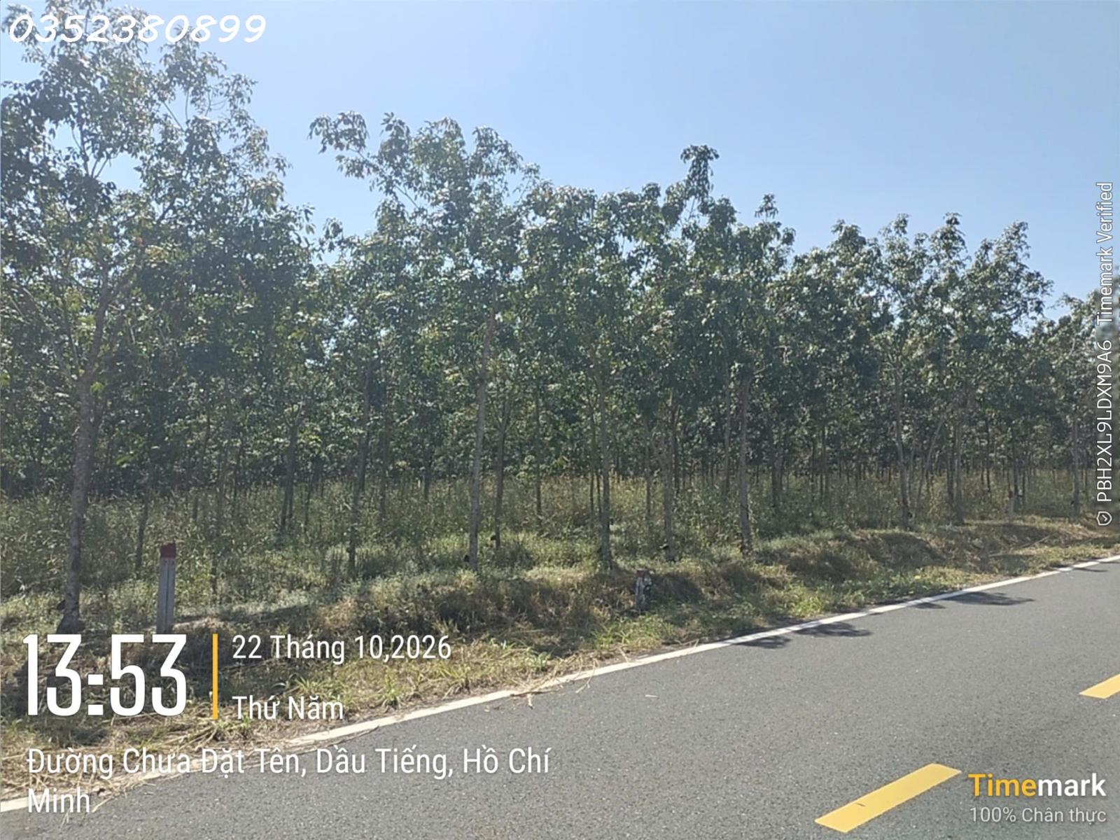 Hàng hiếm tại Ấp Núi Cậu, ĐT 744, Dầu Tiếng, DT 262 m2, giá 2,7 tỷ 16022718