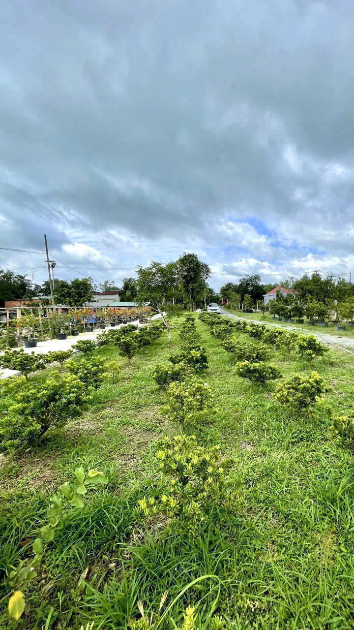 Cho thuê kho ,nhà xưởng ,mặt bằng kinh doanh tại Củ Chi, TP. HCM 16022794