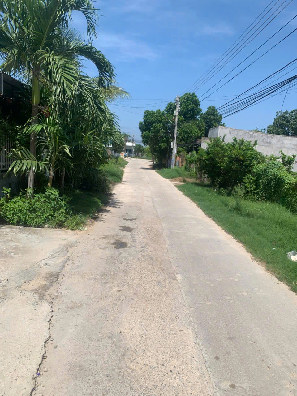 CHÍNH CHỦ BÁN 2 LÔ ĐẤT TẠI NINH PHƯỚC, NINH THUẬN – GIÁ TỐT, CÓ THƯƠNG LƯỢNG 16022807