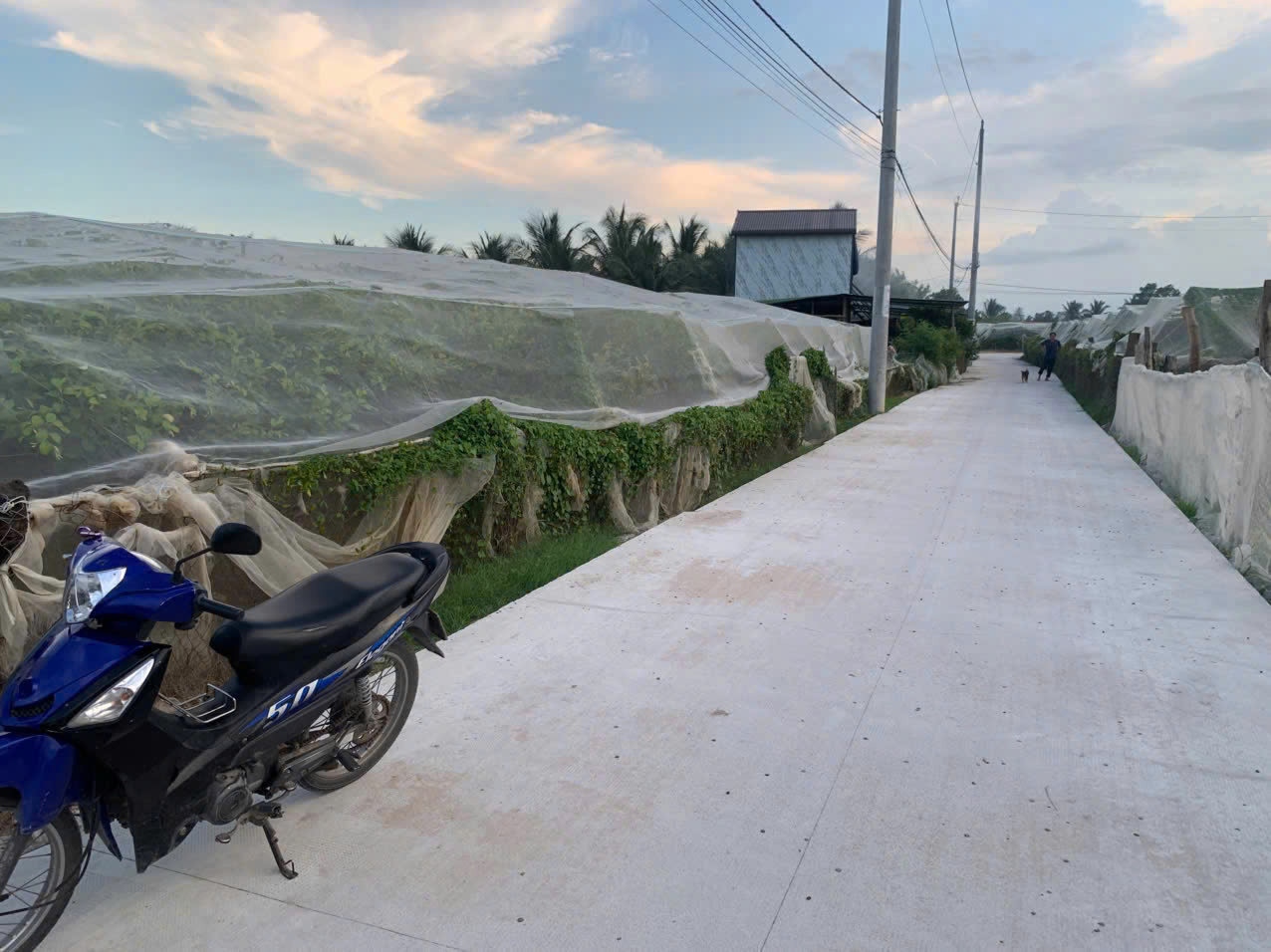 CHÍNH CHỦ BÁN 2 LÔ ĐẤT TẠI NINH PHƯỚC, NINH THUẬN – GIÁ TỐT, CÓ THƯƠNG LƯỢNG 16022807