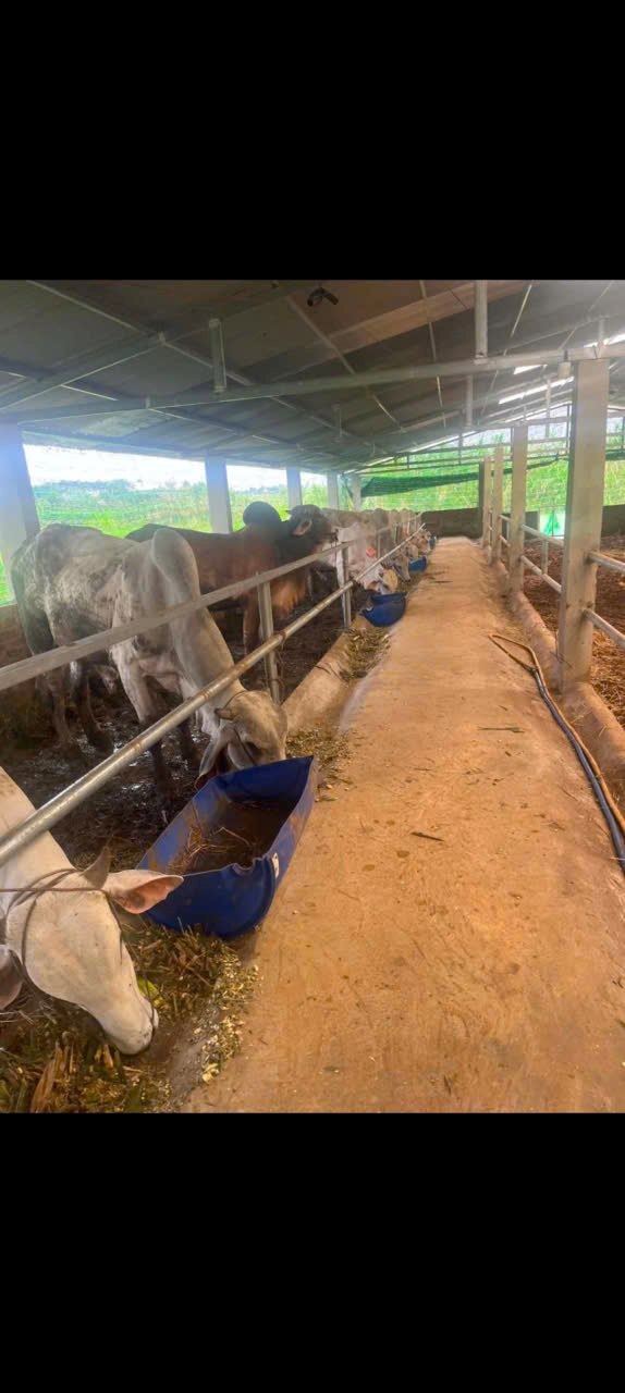 BÁN 5 HÉC-TA ĐẤT NÔNG NGHIỆP TẠI THÔN 10, LỘC NAM, BẢO LÂM, LÂM ĐỒNG 16022899