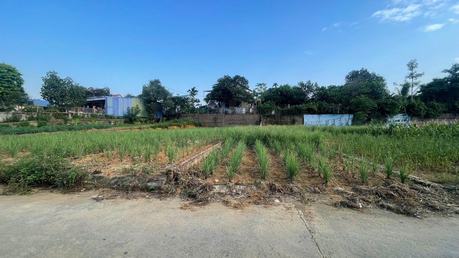 BÁN ĐẤT LÕI TRUNG TÂM PHÚ CÁT – 108,1M² FULL THỔ CƯ – SẴN SỔ 16022917