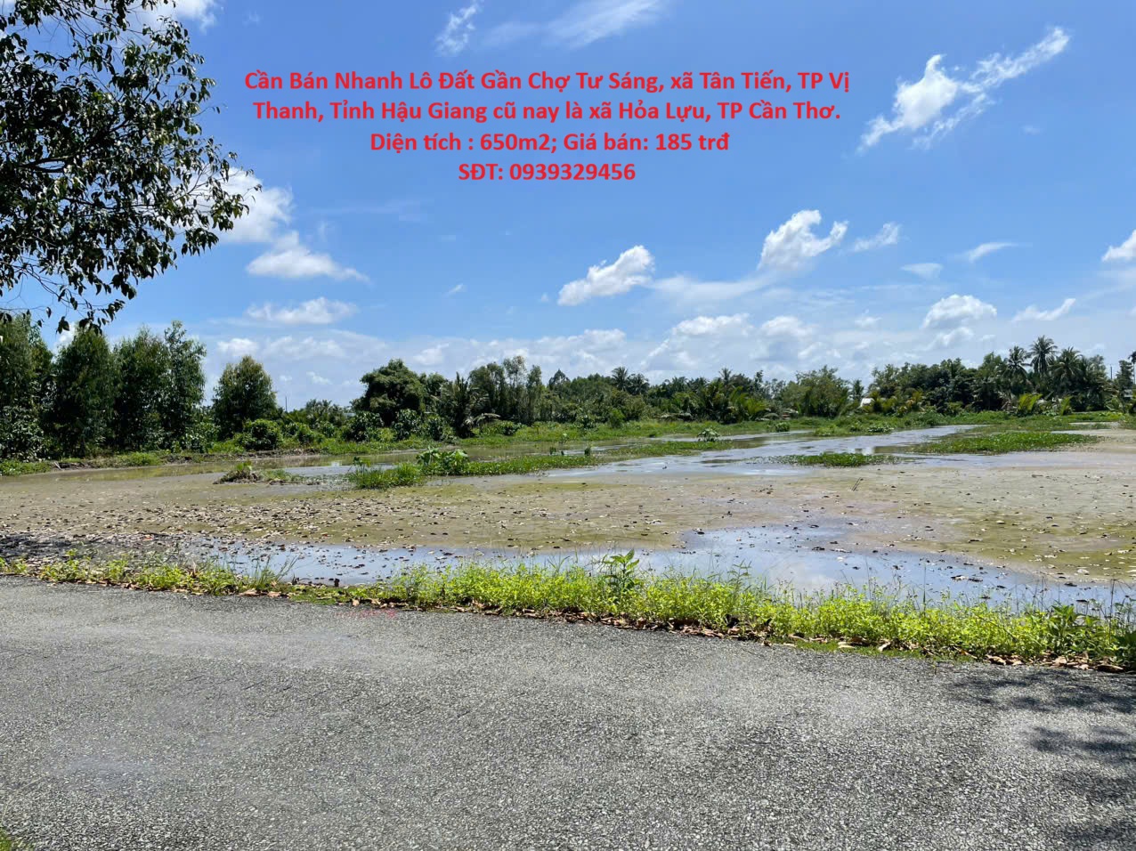 Cần Bán Nhanh Lô Đất Gần Chợ Tư Sáng, xã Tân Tiến, TP Vị Thanh, Tỉnh Hậu Giang cũ nay là xã Hỏa 16022928