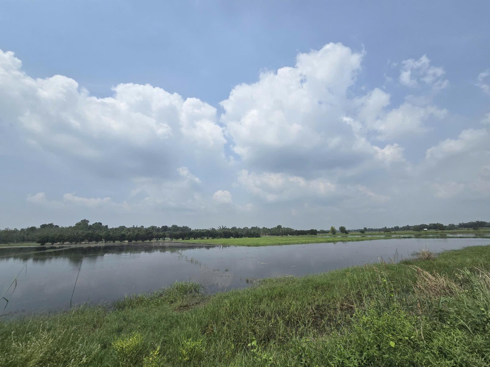 Siêu phẩm cho nhà đầu tư thông thái hơn 7000m2 QH thổ cư giá 11 tỷ Thạnh Đức Tây Ninh 16022972