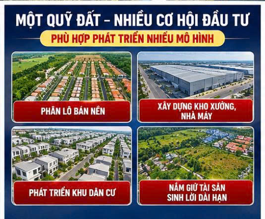 Giữ 231 Tỷ Tiền Mặt  Hay Nắm Trong Tay 3,3ha Đất Tại Của Ngõ Sài Gòn 16023251