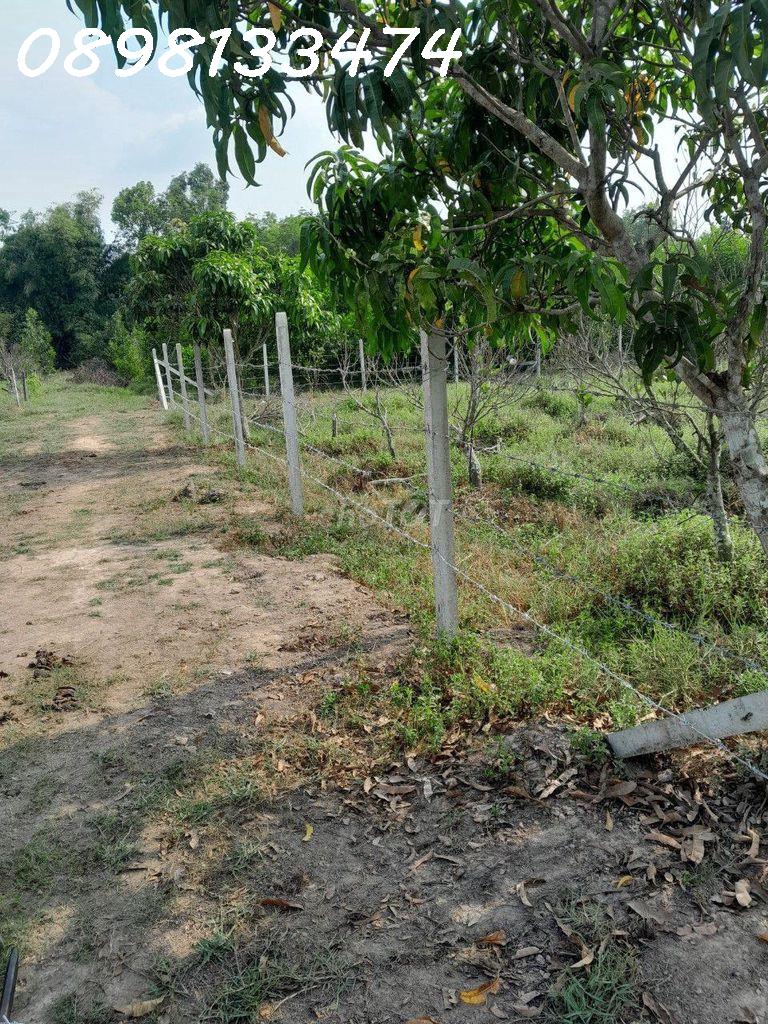 CẦN BÁN ĐẤT NN GẦN KCN PHƯỚC ĐÔNG, CAO TỐC MỘC BÀI, HCM !!! 16023399