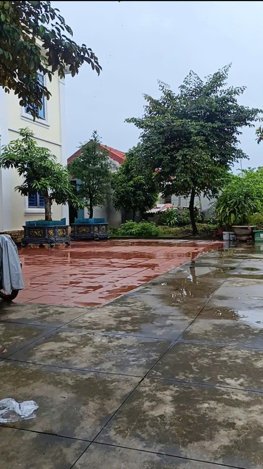 ***Chính chủ gửi bán căn nhà biệt thự 2 tầng tại cao thượng Tân Hưng 16023765