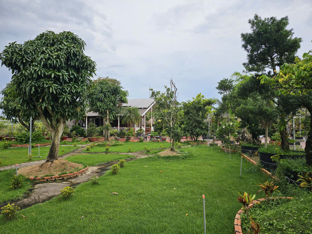 BÁN NHÀ VƯỜN NGHỈ DƯỠNG HƠN 3.000M² – KHÔNG GIAN SỐNG XANH, ĐẲNG CẤP TẠI RẠCH GIÁ - KIÊN GIANG 16023777