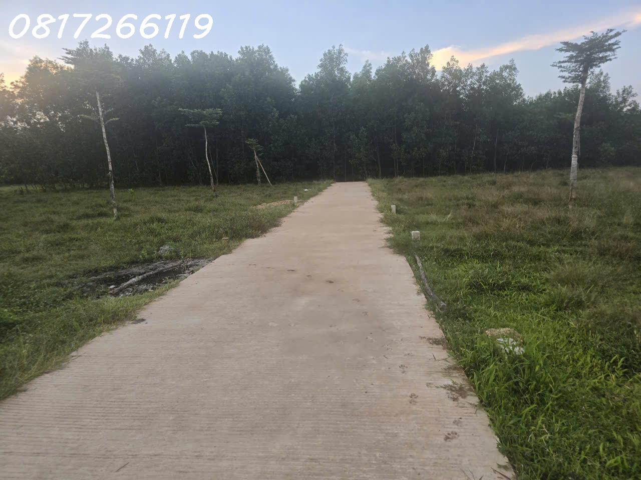 Cần bán nhanh lô đất đẹp xã Thọ Phong, Tỉnh Quảng Ngãi, 123,9m2, 1,080 tỉ 16023782