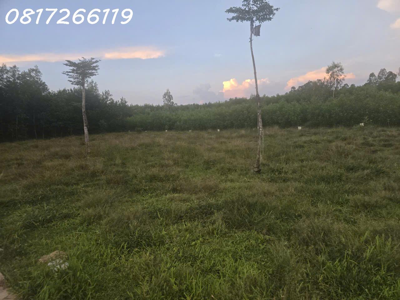 Cần bán nhanh lô đất đẹp xã Thọ Phong, Tỉnh Quảng Ngãi, 123,9m2, 1,080 tỉ 16023782