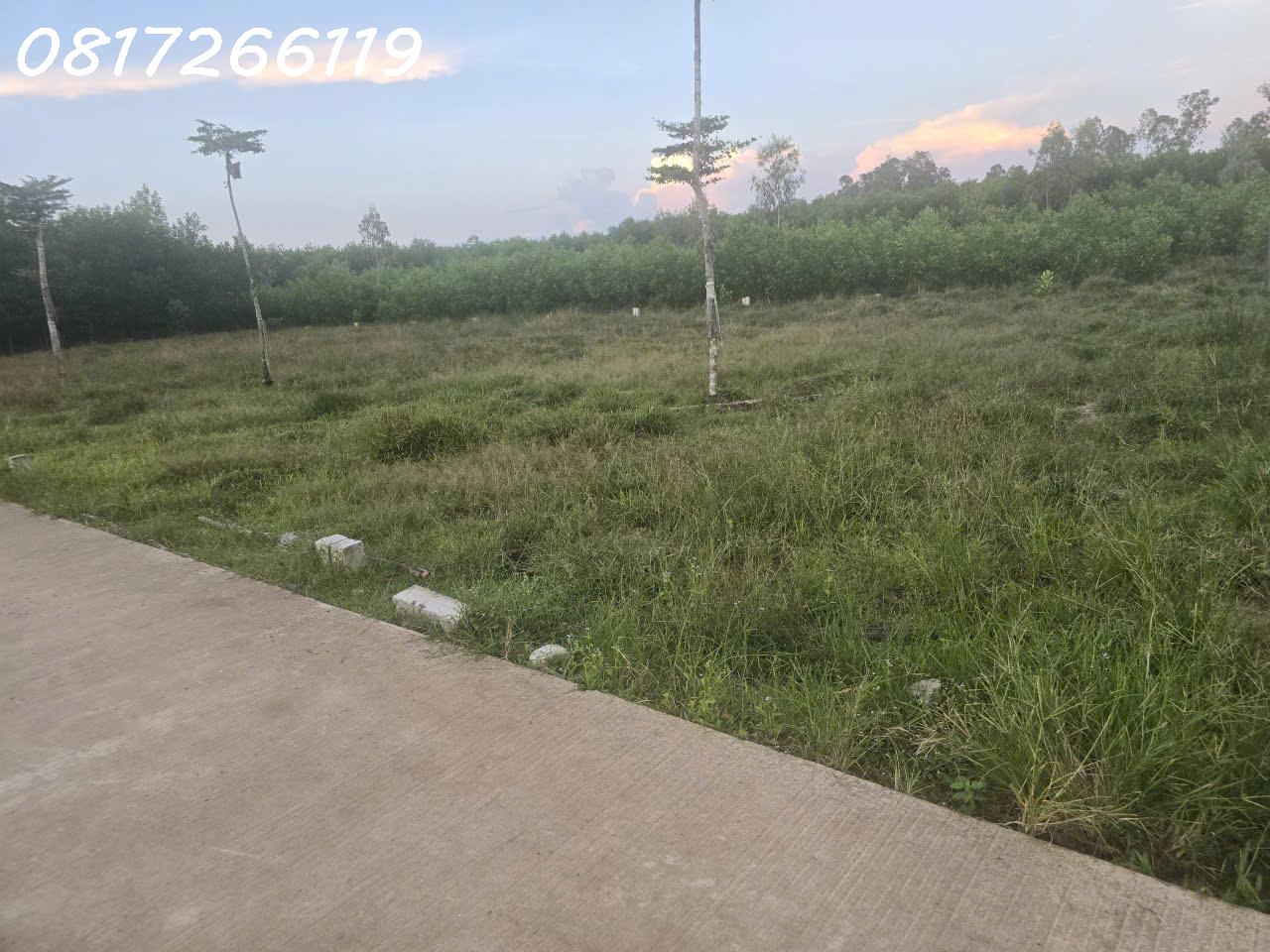 Cần bán nhanh lô đất đẹp xã Thọ Phong, Tỉnh Quảng Ngãi, 123,9m2, 1,080 tỉ 16023782