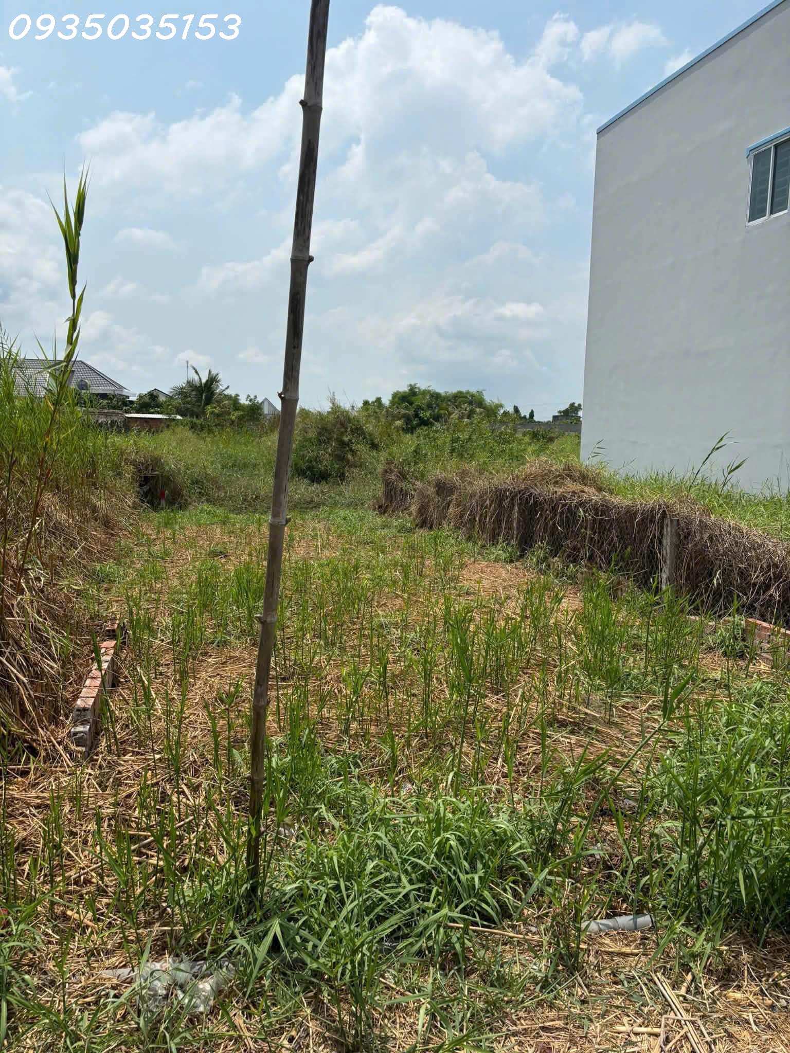 Cần tiền bán gấp lô đất thổ cư 80m2 tại Ấp Lộc Hậu, Mỹ Lộc, Tây Ninh, giá 580 triệu 16023804