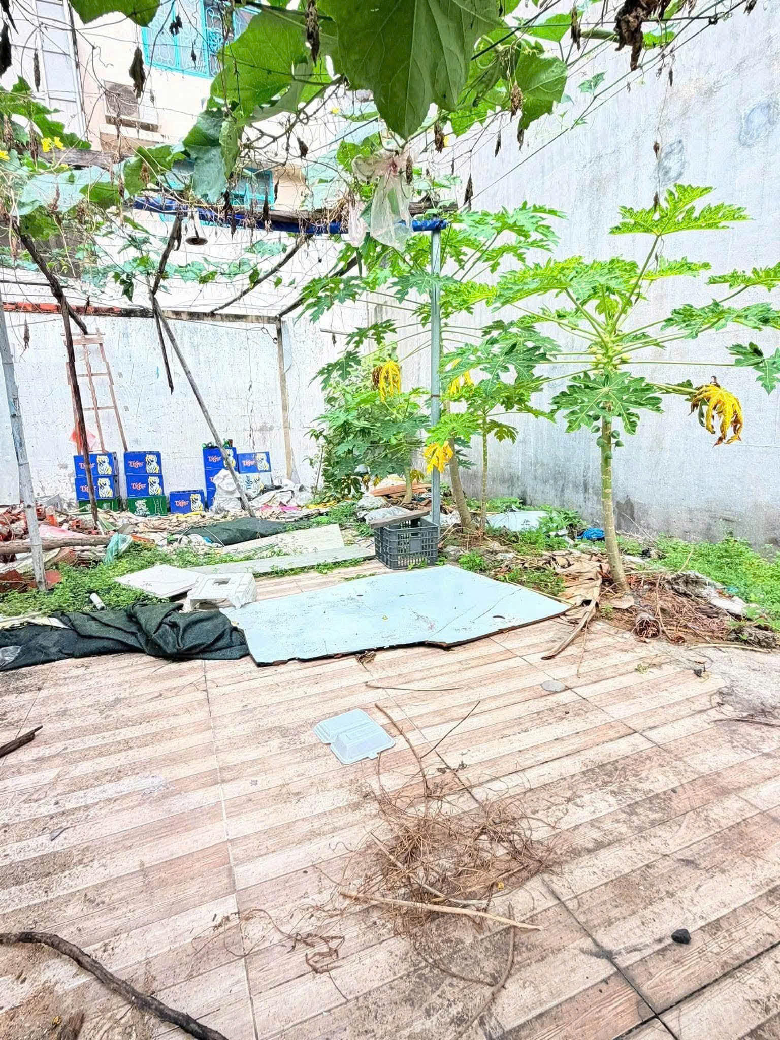 Bán Đất - Hẻm 10m Nguyễn Gia Trí (D2) - gần Ung Văn Khiêm,  4x16m, GPXD 6 Tầng, 11,5 Tỷ. 16023868