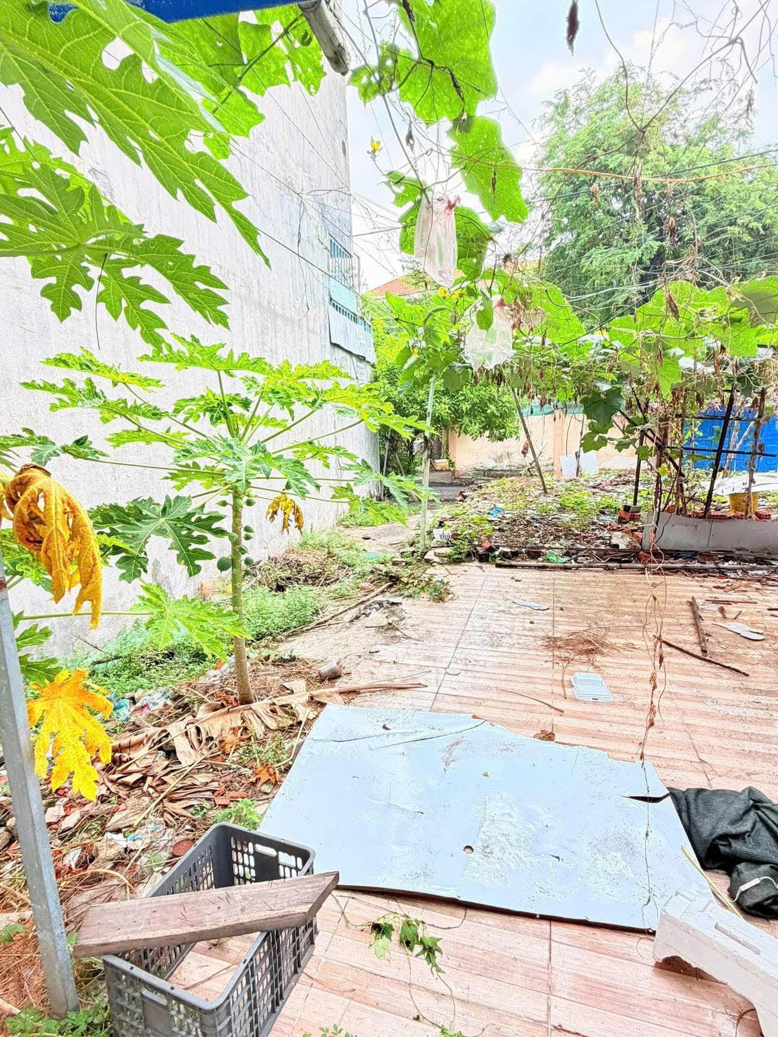 Bán Đất - Hẻm 10m Nguyễn Gia Trí (D2) - gần Ung Văn Khiêm,  4x16m, GPXD 6 Tầng, 11,5 Tỷ. 16023868