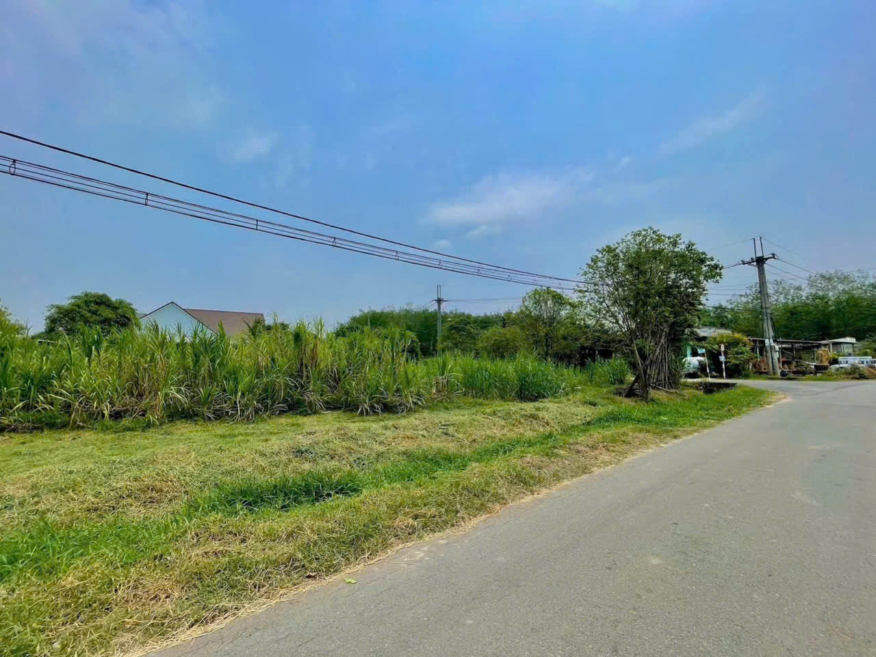 SỐC! GÓC 2 MẶT TIỀN NHỰA AN PHÚ – 2.020m² ĐẤT, GIẢM NGAY 1,8 TỶ! 16024044