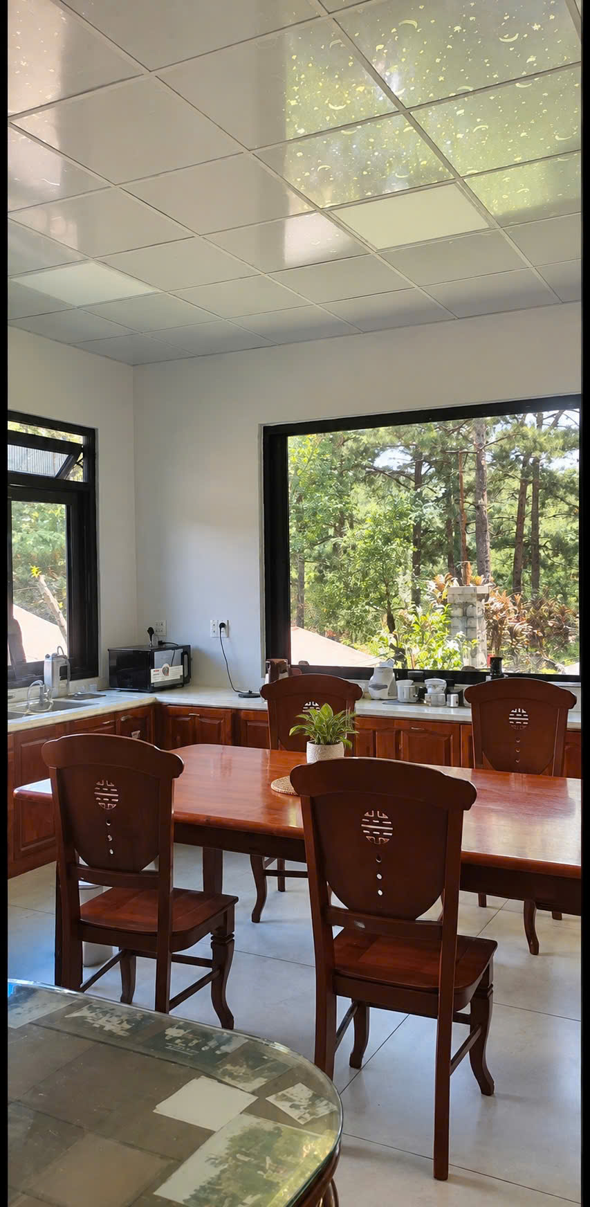 Cho thuê nhà nguyên căn 4 phòng ngủ sân BBQ view rừng thông đậu ô tô đường 3/4 Đà Lạt Lâm Đồng giá 16024078