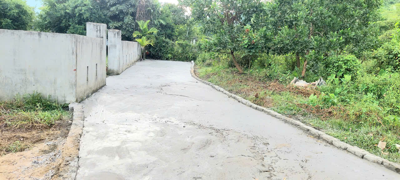 🔴💥Chào bán lô đất 910m2 thuộc Cụm Homestay - Farmstay tại Hoà Bắc 16024108