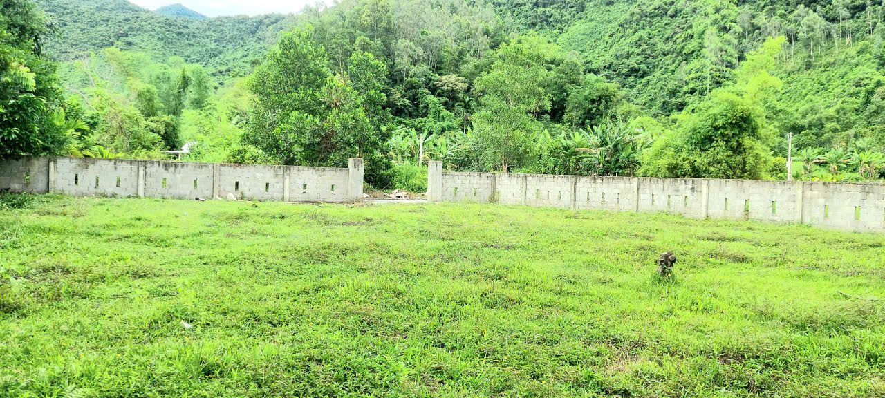 🔴💥Chào bán lô đất 910m2 thuộc Cụm Homestay - Farmstay tại Hoà Bắc 16024108