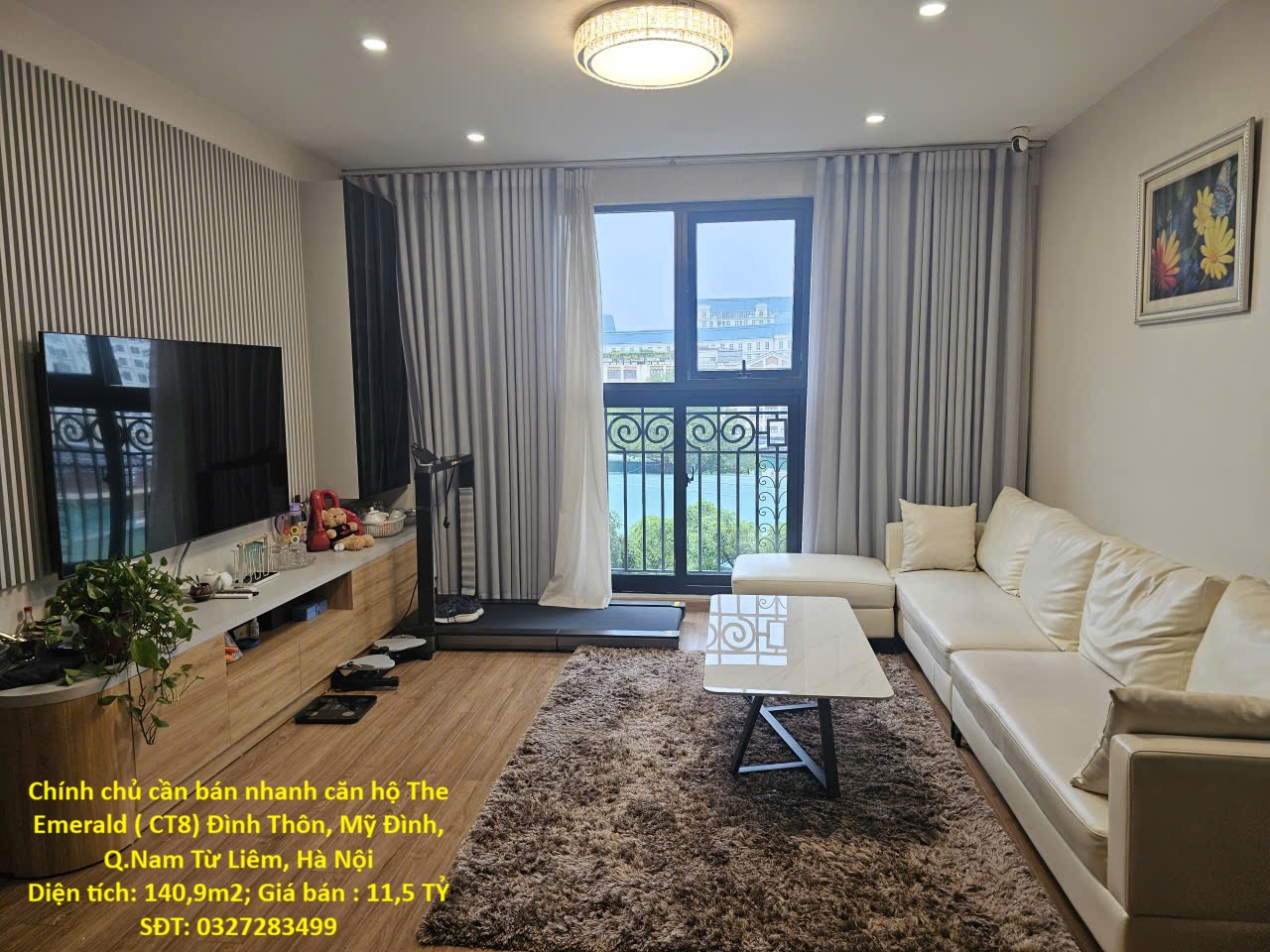 Chính chủ cần bán nhanh căn hộ The Emerald ( CT8) Đình Thôn, Mỹ Đình, Q.Nam Từ Liêm, Hà Nội 16024232