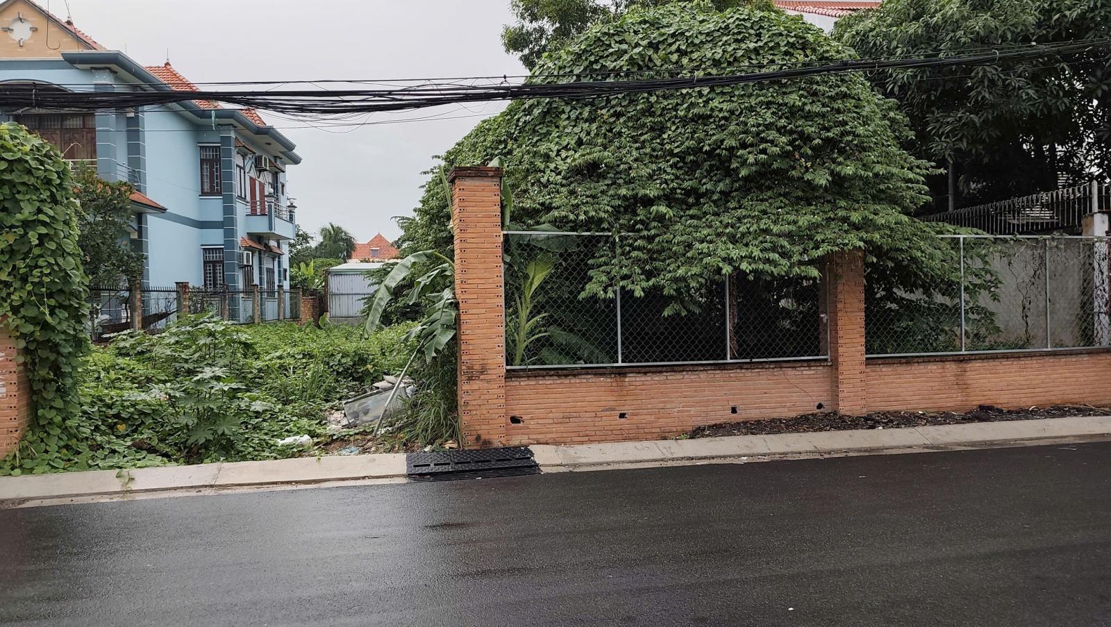 Siêu Phẩm Lô Đất Vàng 558m² Hẻm 700 Quốc Lộ 13 – Hiệp Bình Phước, TP Thủ Đức 16024239