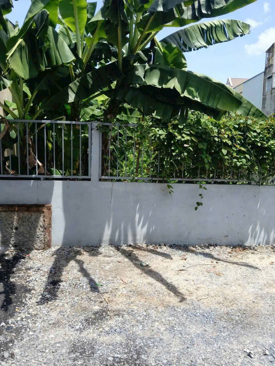 ĐẤT 370M² – NGANG 12M – GIÁ 24.9 TỶ – MT NHÁNH LÊ QUANG HÒA, THỚI AN, Q.12 16024248