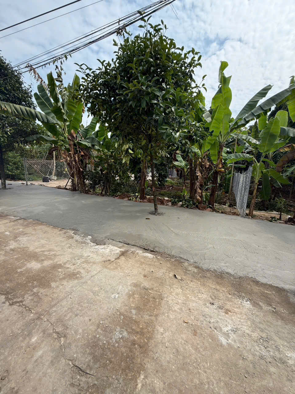Bán Đất Mặt Tiền Bình Nhâm 30 – Lái Thiêu, Thuận An, Tphcm - 432m² Đất – Giá Chỉ 6.9 Tỷ 16024254