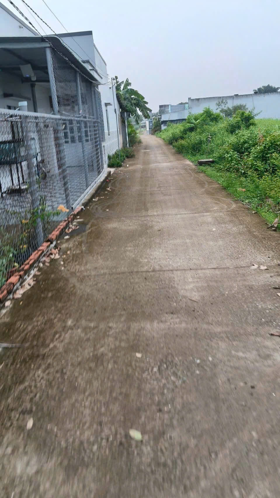 Chính chủ bán nhanh 2 lô đất trung tâm phường Sơn Qui - Sổ riêng, tiềm năng sinh lời 16024347